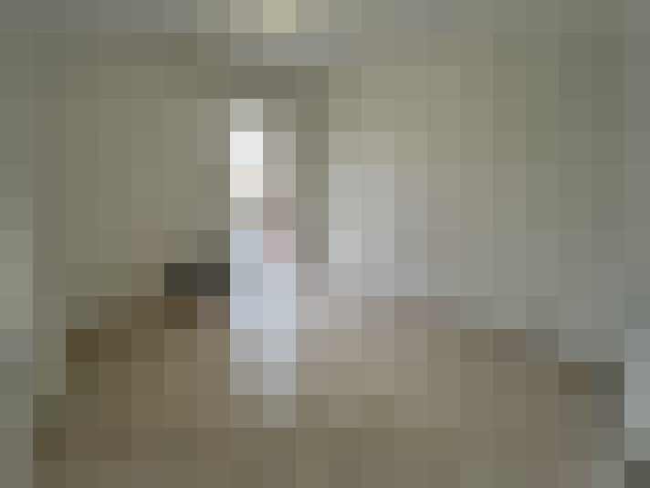 / #8