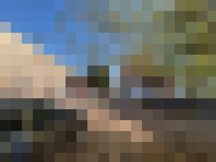 / #11