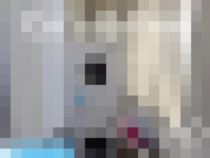  / #13