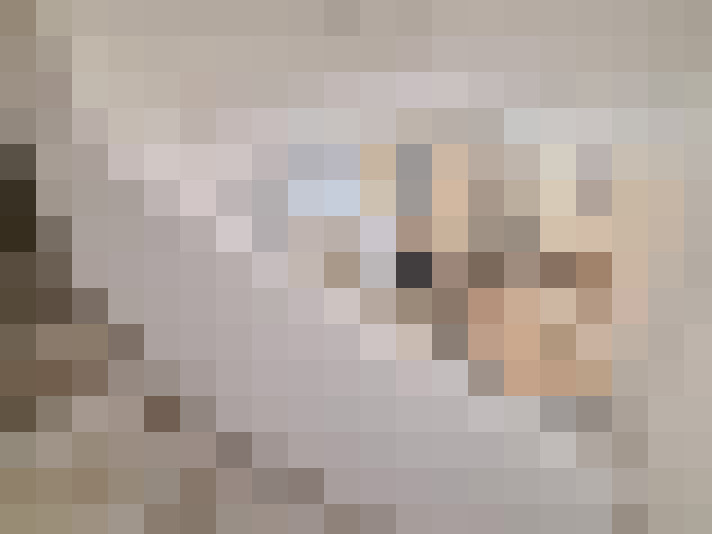  / #15