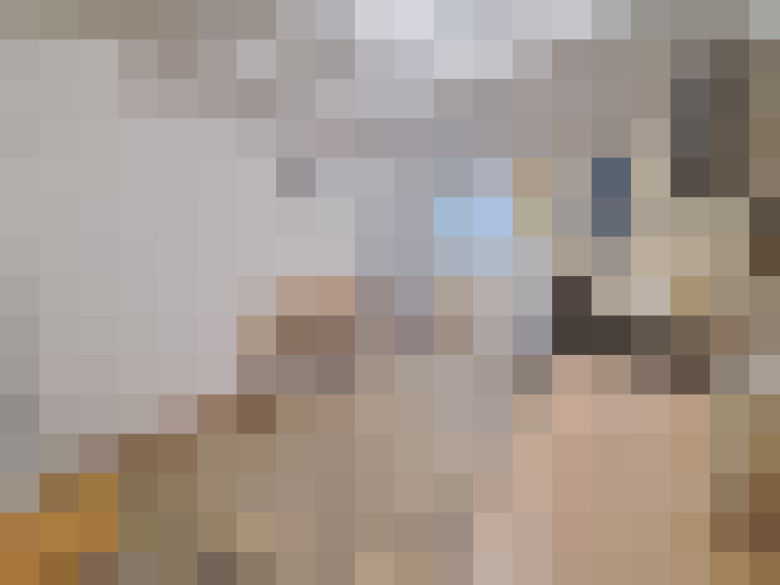  / #11