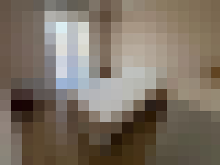  / #8