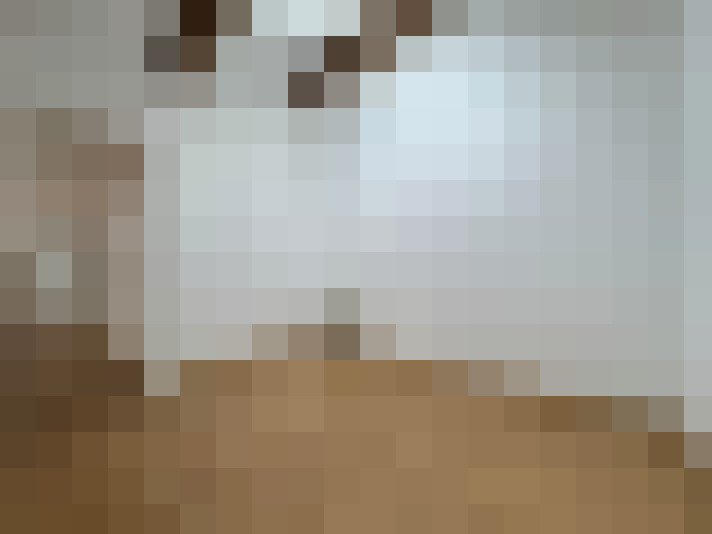  / #11