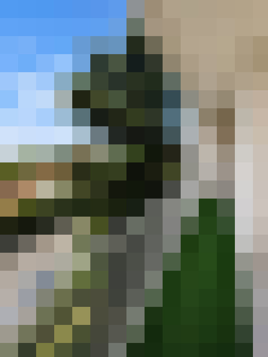 / #7