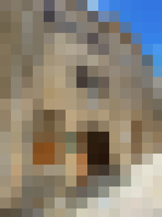  / #12