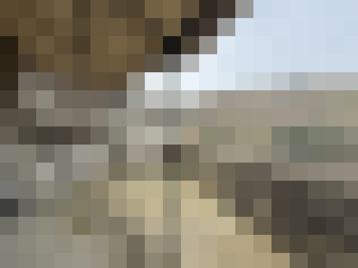  / #7