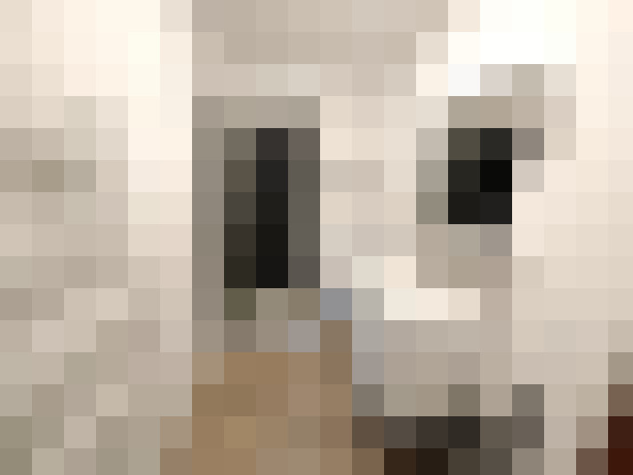  / #13