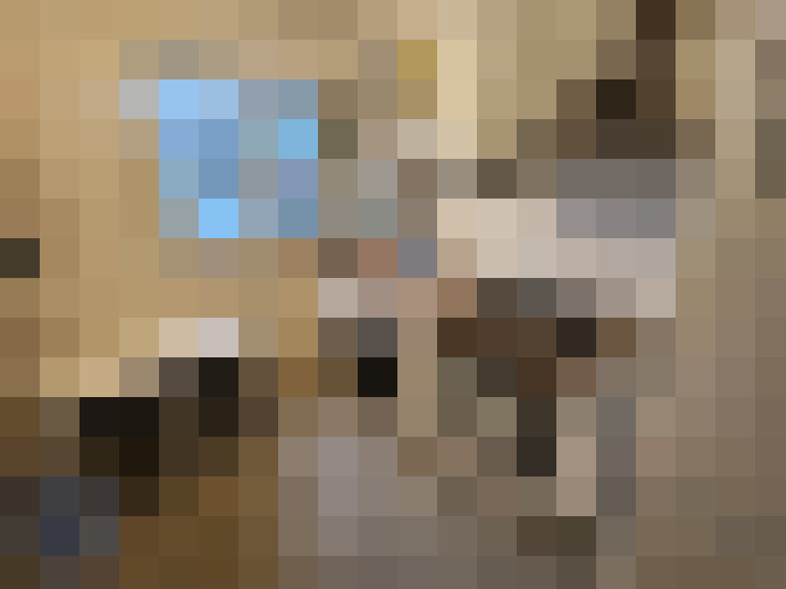  / #6