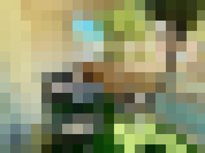  / #5