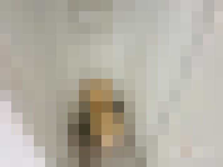 / #12