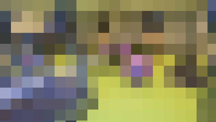  / #13