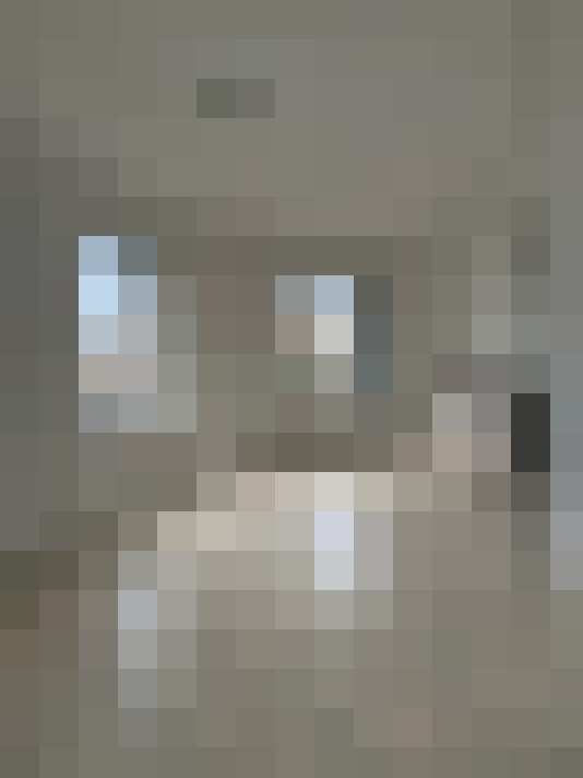  / #16