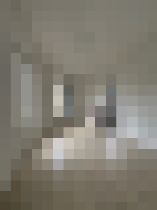  / #15