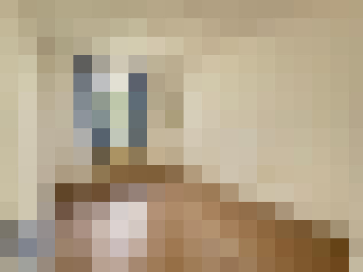  / #6