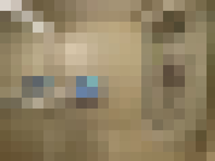  / #6
