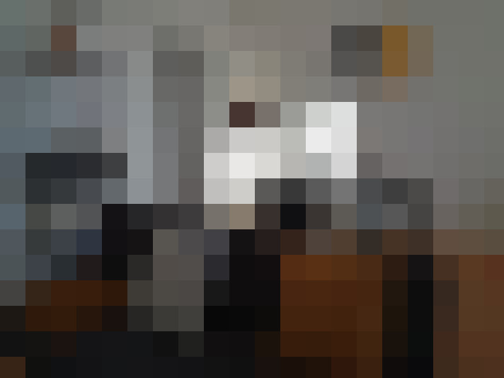  / #15