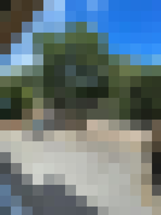  / #8