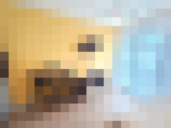 / #15