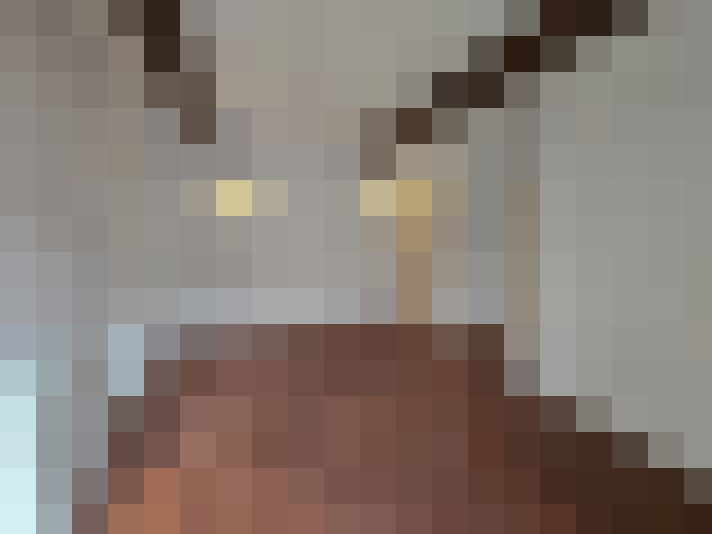  / #15