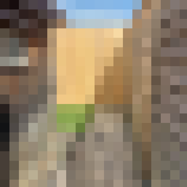  / #6