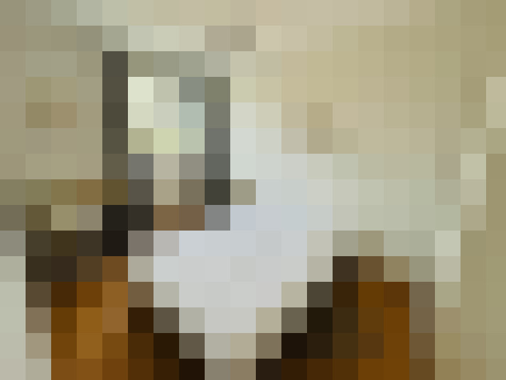  / #8