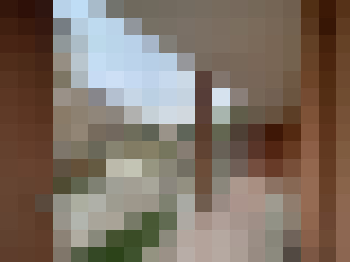  / #6