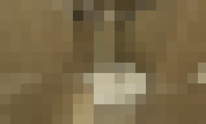  / #4