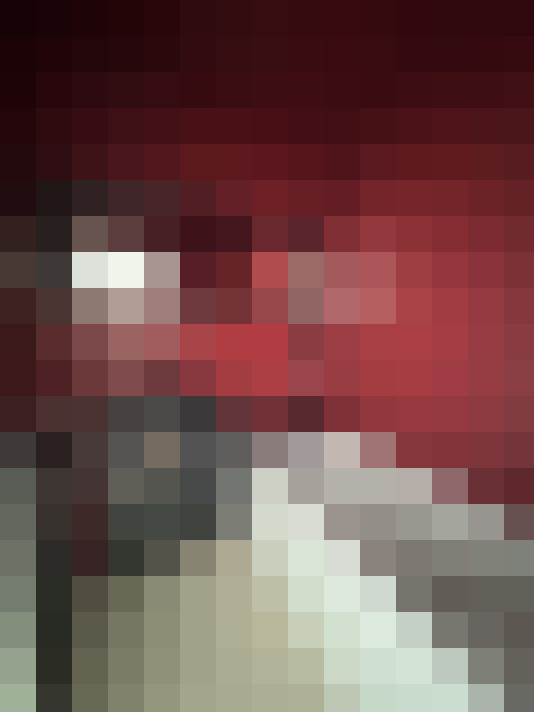  / #19