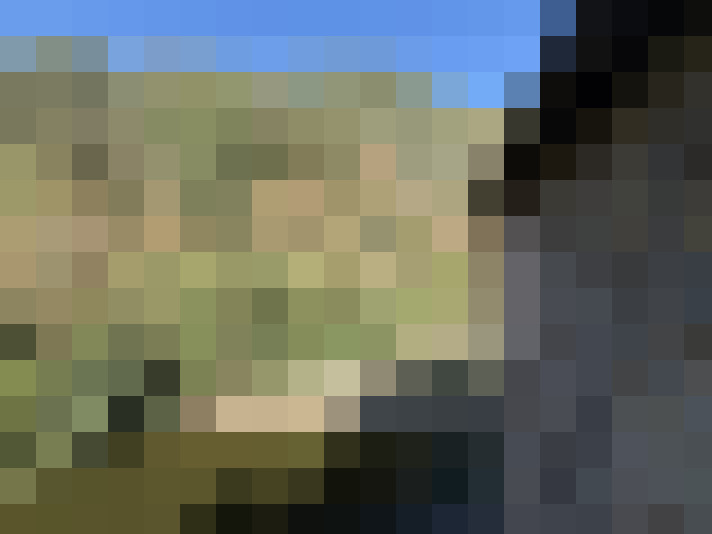  / #17