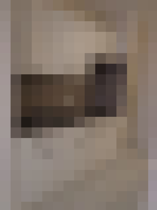 / #2