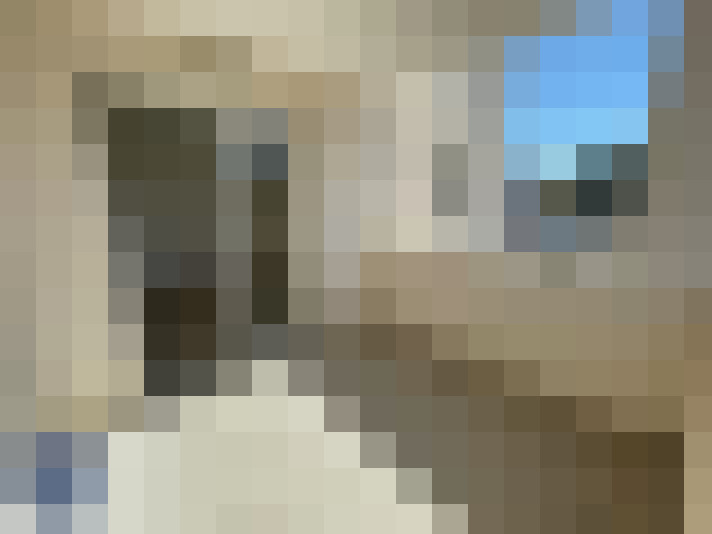  / #6