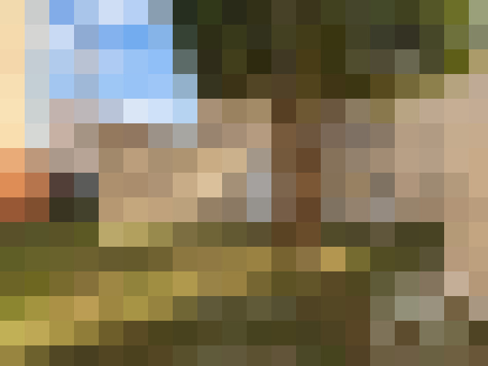  / #7
