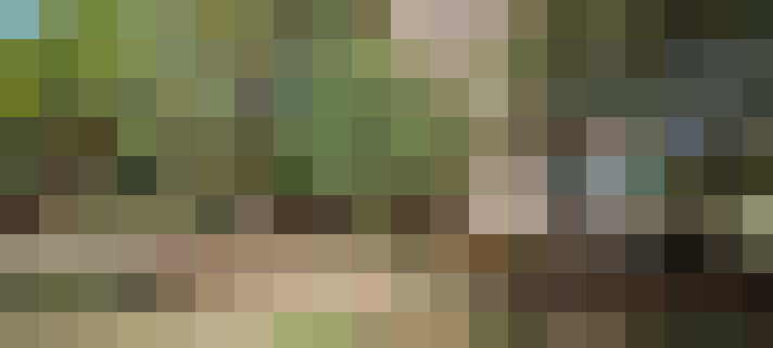  / #8