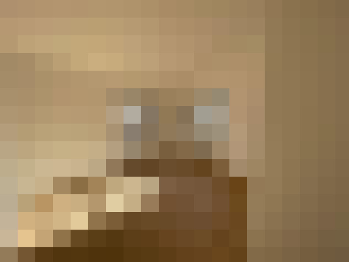  / #6