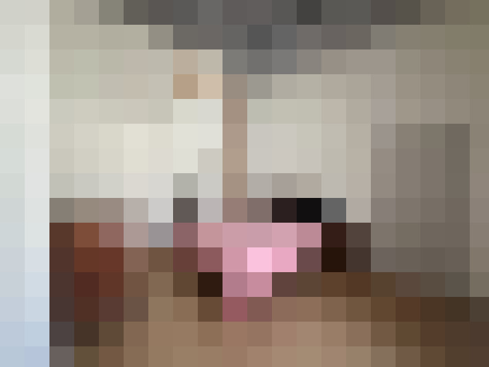  / #13