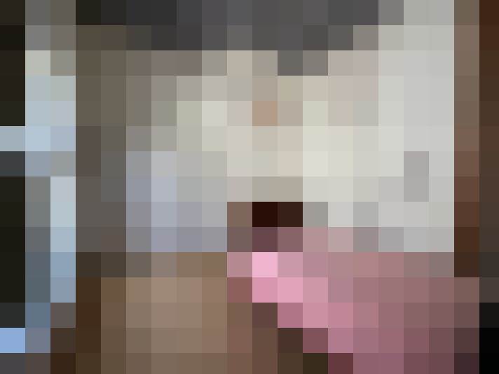  / #11