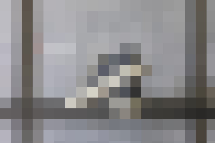  / #18