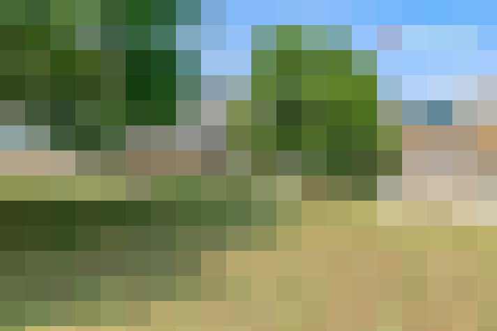  / #16