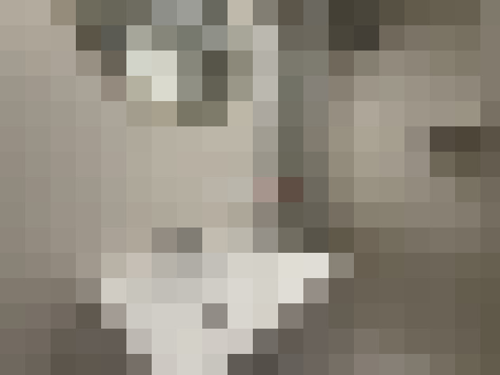  / #15