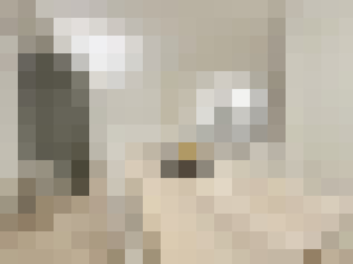  / #24