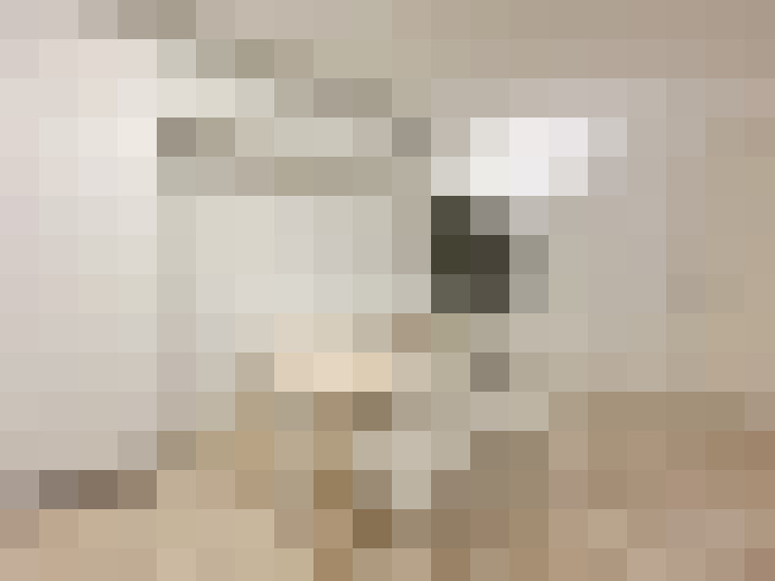  / #23