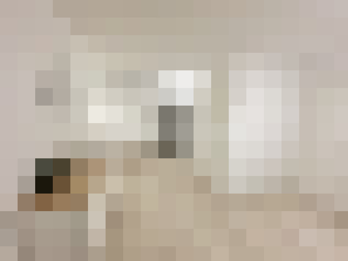  / #19