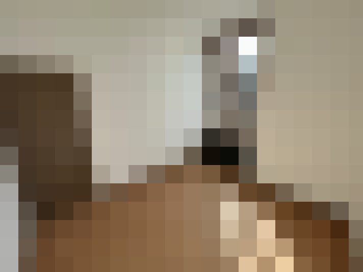  / #6