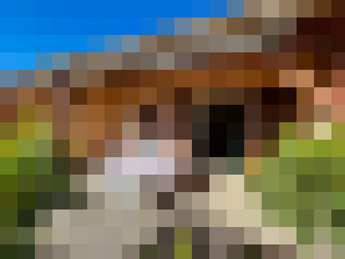  / #13