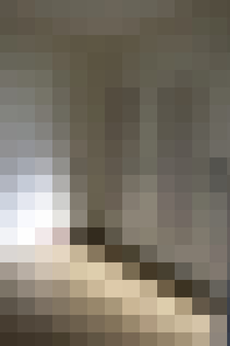  / #15