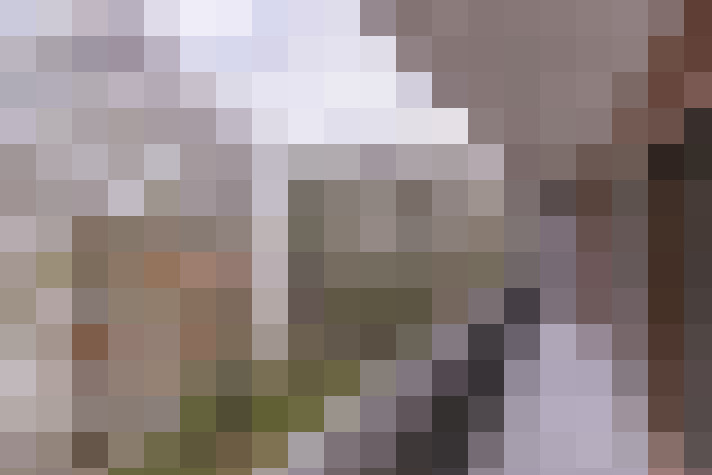  / #19