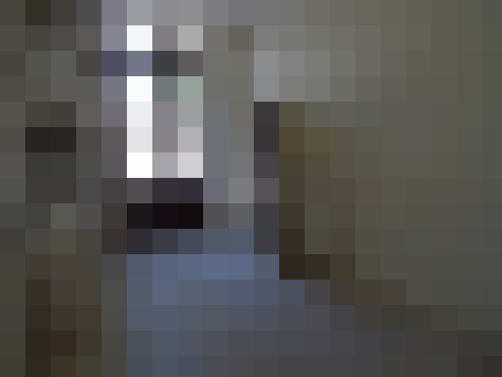  / #8