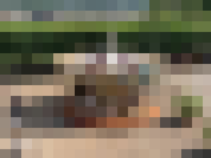  / #15