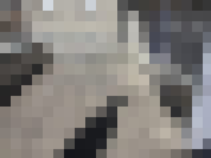  / #13