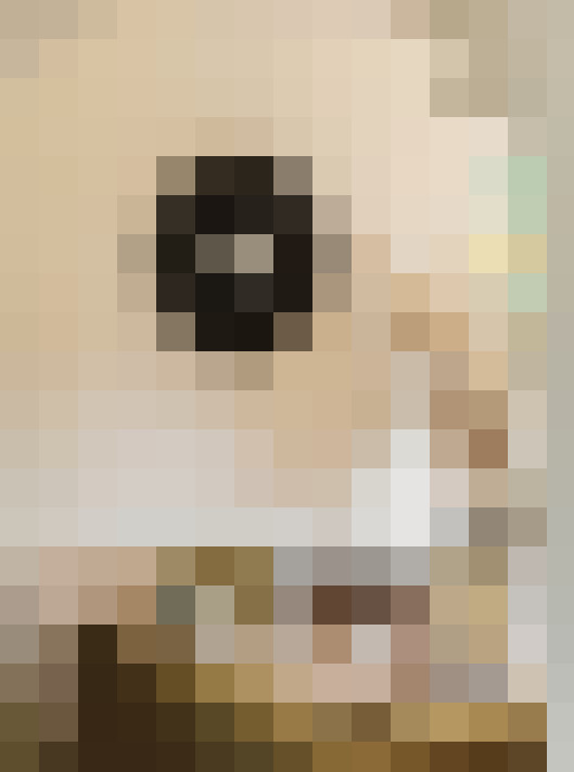  / #12
